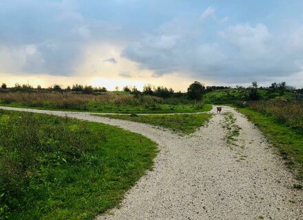 Aagtenpark