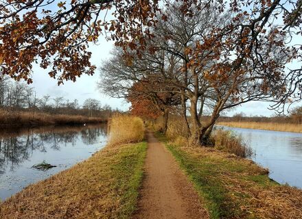 Ankeveense Plassen
