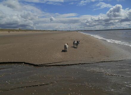 Badstrand Rockanje