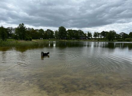 Baggelhuizerplas