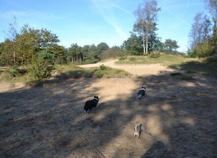 Bakkeveense Duinen