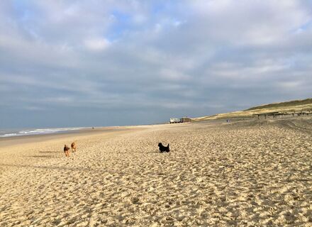 Bergen aan Zee