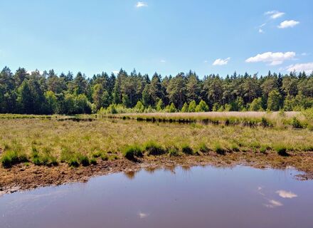 Boswachterij Ruinen