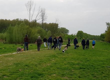 Broekpolder