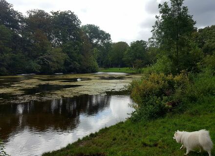 Brouwerskolkpark