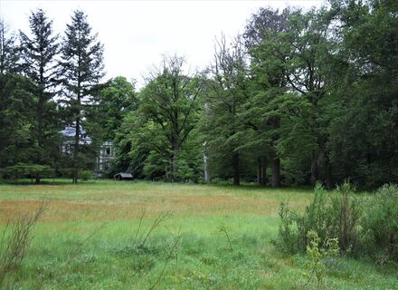 Buitenplaatsen Driebergseweg