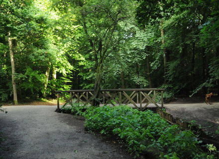 Burgemeester Rijkenspark