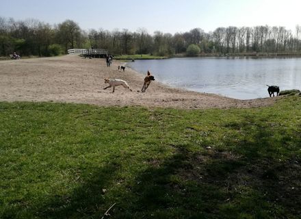 De Groene Ster