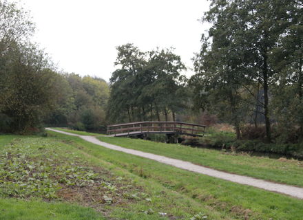 De Hulk en Dwaalpark