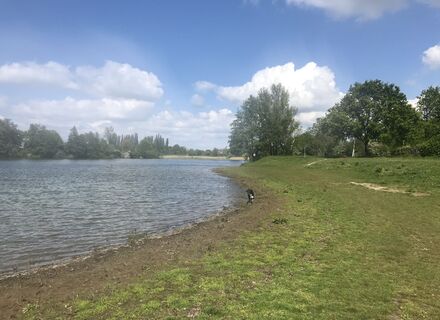 De Nevelhorst
