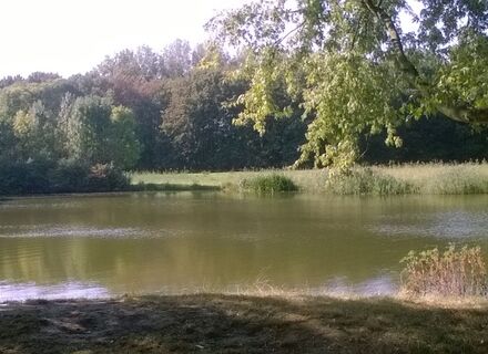 De Twee Heuvels
