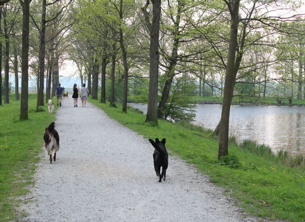 De Vesting van Willemstad