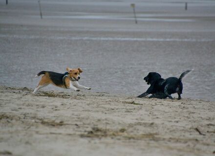 Deltastrand