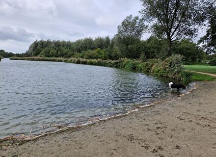 Dobbeplas