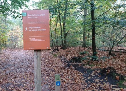 Drents Friese Wold - Oost