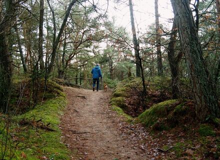 Drents Friese Wold - Zuid