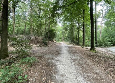 Emmerdennen & Oosterbos