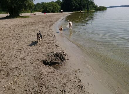 Erkemederstrand & Nulderdijk