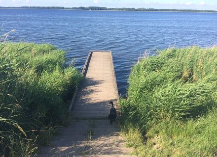 Gooierdijkpark
