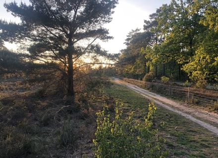 Gortelseweg