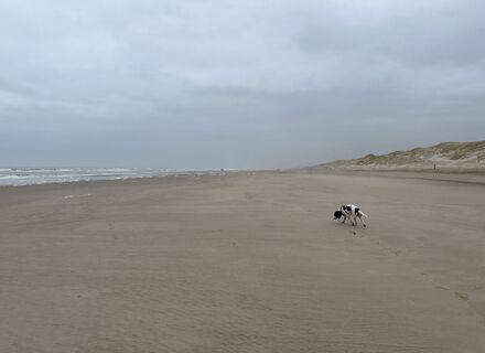 Hargen aan Zee & Schoorl