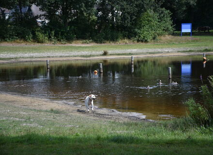Heemtuin & Natuurpark Tussen de Venen