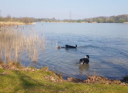Heeresveld