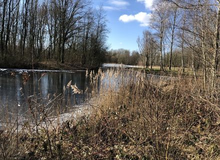 Heidemeer