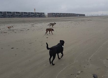 Hoek van Holland