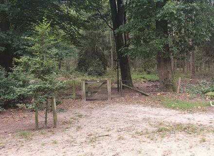 Hof te Dieren