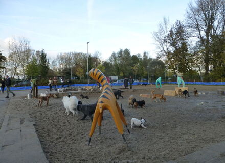 Hondenspeeltuin Bello