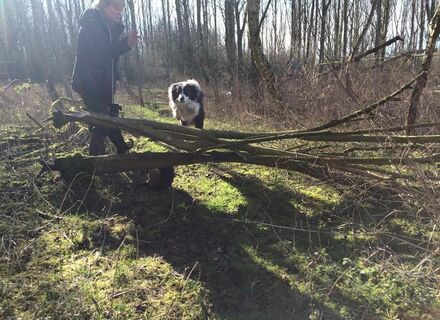 Hondenspeeltuin de Broekpolder