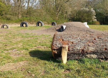 Hondenspeeltuin Stadspark Groningen