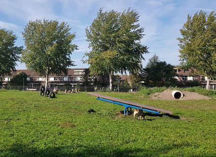 Hondenspeeltuin Zevenkamp