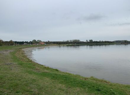 Hondenstrandje Lauwersmeer