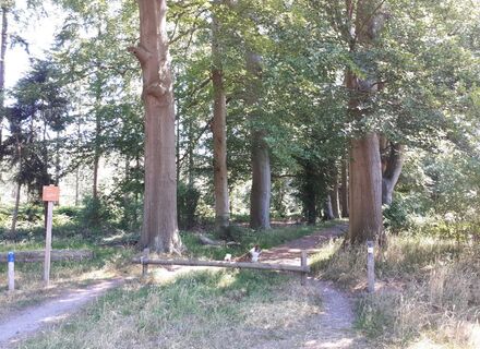 Hooge Vuursche
