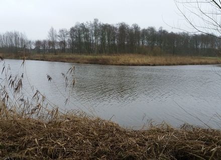 Horsterwold