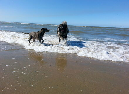 IJmuiderslag