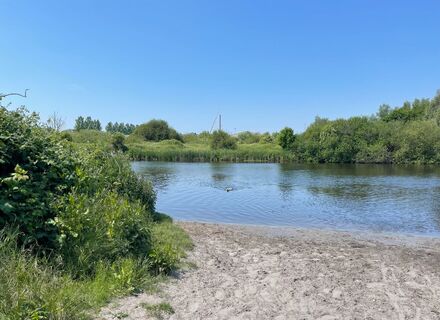 Jagersveld