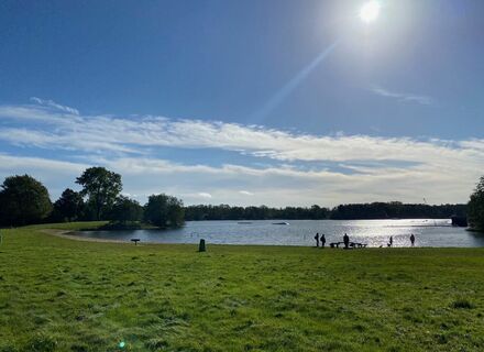 Kievitsveld