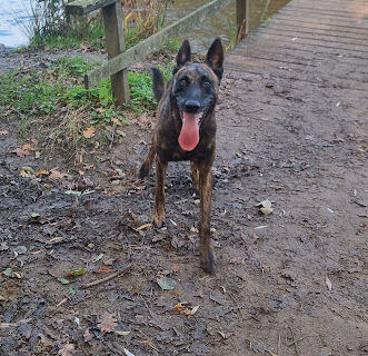 Kleine Plas