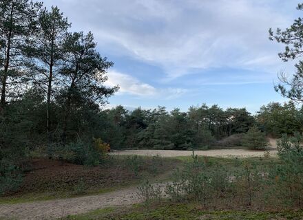 Kootwijkerduin
