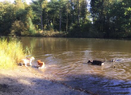 Kuinderbos