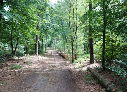 Landgoed Bruggelen