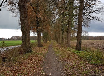 Landgoed Engelenburg
