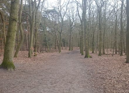 Landgoed Groenendaal