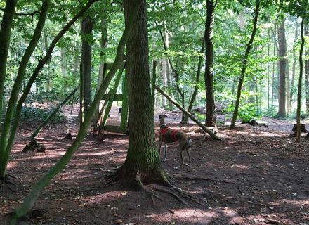 Landgoed Molecaten