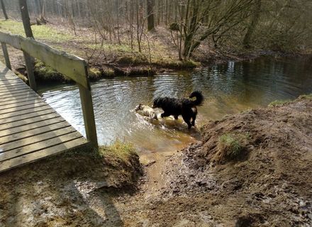 Landgoed Slangenburg