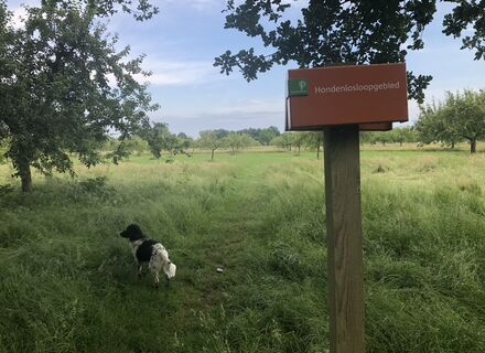 Landgoed Soelen