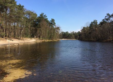 Loonse en Drunense Duinen - Noordwest